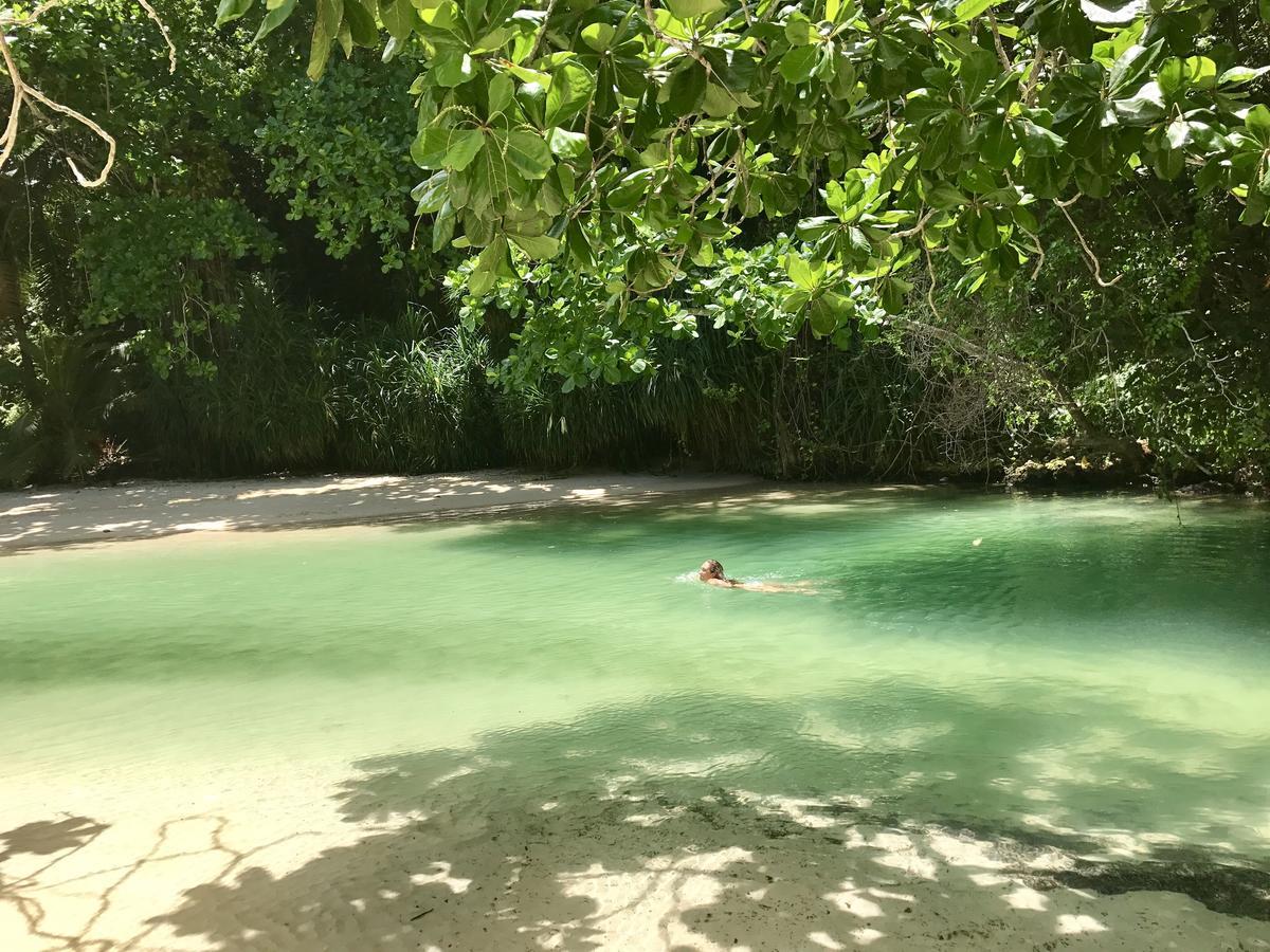 Nature In Portland Port Antonio Exterior photo