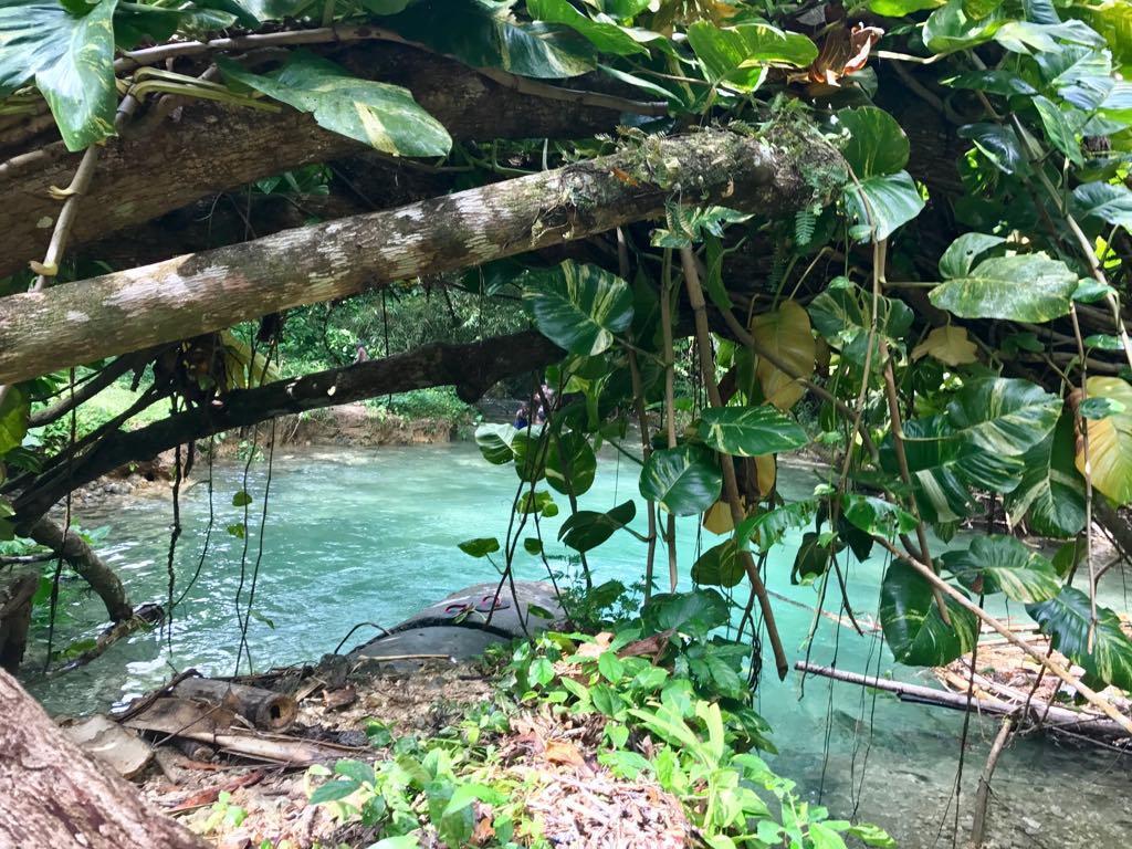 Nature In Portland Port Antonio Exterior photo
